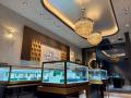 福岡・天神の高級時計専門店「THE CAPITAL WATCHES」