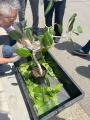 買って終わりじゃない。植物を”育てる”楽しさに寄り添
