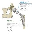 株式会社VetsBrain、グローバルスタートアップ支援プ