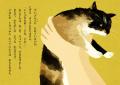 【新刊情報】「地域ねこ」を通じて、命の大切さを考え