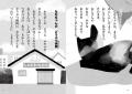 【新刊情報】「地域ねこ」を通じて、命の大切さを考え