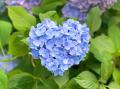 彩り豊かな花々が美しい