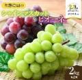 山形県鶴岡市は市制施行20周年を迎えます