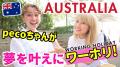 タレントpecoちゃんがオンライン英語コーチング『イン