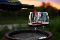 「ボルドー・プリムール2024」TERRADA WINE MARKETに