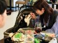 【梅雨でもウキウキ】西伊豆・土肥温泉の愛犬宿がプレ
