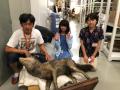 自由研究が世界的大発見に！？　小学生（当時）が貴重