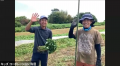 子どもたちに“食”を育てる本物の体験を。畑のお手伝い