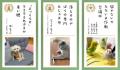 アニコム損保の第十回「どうぶつ川柳」、募集開始！入