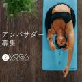 環境に優しいグローバルブランド『Yoga Design Lab』