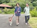 【ピースワンコ・ジャパンの保護犬の譲渡数が5,000頭