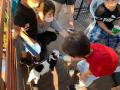 日本初の保護動物専門動物園「タケガワふれあい動物園