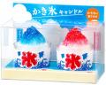 あの頃の夏がよみがえる！真夏の定番「かき氷」が好物