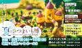 この夏の注目イベント！「夏のさつまいも博2025」、6