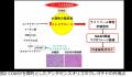 肝脂肪滴中のコレステロールが脂肪肝の進行を引き起こ