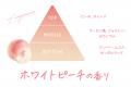 CLAYGE（クレージュ）からホワイトピーチの清らかな甘