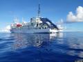 Ocean Census、JAMSTECと日本で初の共同深海探査を開