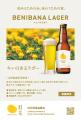 山形が誇る紅花文化を「飲んで」楽しむ。紅花クラフト