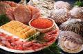 【新発売】北海道市場の海の幸を贅沢に味わい尽くす！