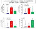 ナノ化ミノキシジルによる早い発毛効果とそのメutf-8