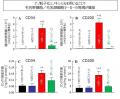 ナノ化ミノキシジルによる早い発毛効果とそのメutf-8