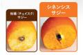 【＃セロ活】”余白”を体感し安らぎを得る旅へKIMEKI『