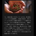 多肉植物寄せ植えスクール succulent arrangemenutf-8