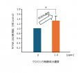 I-ne、メラトニンシステムに包括的に作用　睡眠時の肌