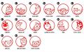 韓国でも広がる“猫愛”に応えたい！日本で3万本超ヒッ