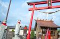環境配慮の紙パック・ペットボトル焼酎！ 捨てやすく