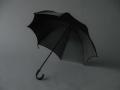 Yohji Yamamoto Umbrellaを6月7日(土)に発売
