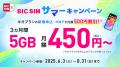 【BIC SIM】店頭のお申込みでビックポイントを最大15,