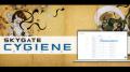 スカイゲートテクノロジズ『Cygiene』、国内No.1 IDaa