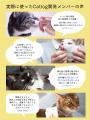 「Catlog ケア」立ち上げ、第一弾としてノンアルコー