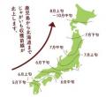 みずみずしい夏の国産新じゃがを使用！さっくり軽い食