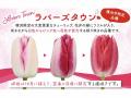サカタのタネ、横浜市限定チューリップをふるさと納税