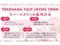 サカタのタネ、横浜市限定チューリップをふるさと納税