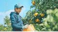 和歌山県・紀美野町商工会が起業・創業の情報発信サイ