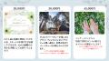 【結婚式を諦めているカップルに向けて、結婚式場がク