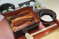 【2025年】土用の丑の日に札幌で鰻を食べるならこれで