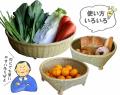 【限定3個】日本の暮らしに根付く逸品「篠竹腰籠」