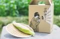 【即完売の“とうもろこし狩り”参加枠拡大で2025年も開