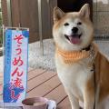 大好評「愛犬流しそうめん」2025年は7月4日から開催！