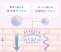 YOLUからメラトニンの働きに着想を得たスキンケアが誕