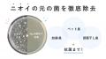 「楽天市場」テレビCMで現在放送されているNoend「エ