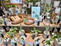 植物で贈る“育つありがとう”