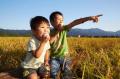 アフリカ・アジアの子どもたちに給食を、日本のコメ離
