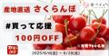 さくらんぼ生産者の8割が収穫量減を予測。一方で食べ
