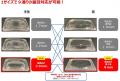 エフピコ 新製品「APデリオ」シリーズを発売 プラスチ