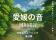 心ととのう愛媛の自然音、第18弾は“鈍川渓谷のせせらぎ”新たなサウナ外気浴BGMを全国のサウナーへ【愛媛県・松山市】